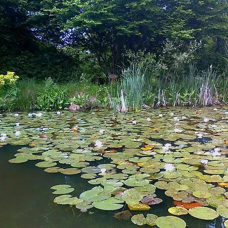 Au Jardin D'eau Ferienhaus *